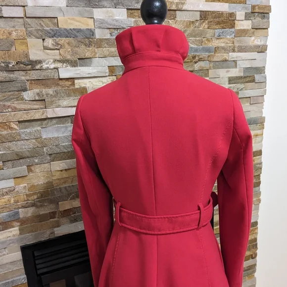 Gorgeous Fall/Spring Coat - Picture 4 of 6